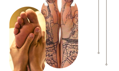 Curso de reflexología podal  – Sanando desde los puntos reflejo del pie